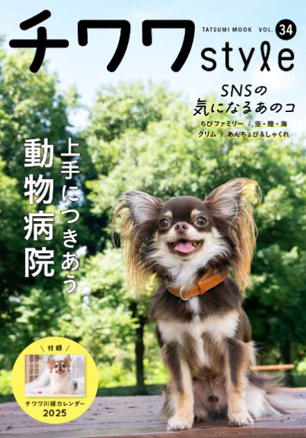 SNSで話題沸騰のチワワが大集合！『チワワstyle』Vol.34は動物病院＆獣医師とのつきあい方を特集