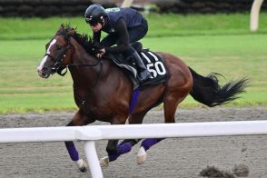 【神戸新聞杯追い切り】メリオーレムはダイナミックにラスト１１・２秒　友道康夫調教師「ここを目標にやってきた」