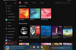 「Eversolo Control」でApple Musicが再生可能に。ネットワークプレーヤーの操作性を向上