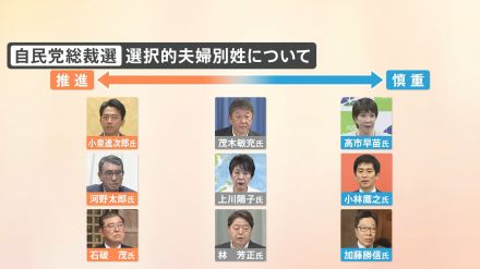 割れる「選択的夫婦別姓導入」の是非　自民党総裁選の“争点”に 9人の候補の意見は