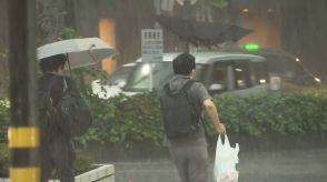 【速報】首都圏でゲリラ雷雨発生…大粒のヒョウら落雷も　今夜も急変の恐れ