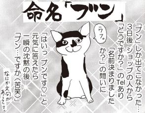 そこはかとなくブサイクだけど最高にかわいい！ いくえみ綾と愛猫ブンとの日常を描いた猫コミックエッセイ【書評】