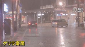 樹齢500年以上の御神木落雷で焼けたか 関東各地でゲリラ雷雨　東京都心では“最も遅い”猛暑日に　彼岸花咲かず 彼岸花祭り会場も閑散【news23】