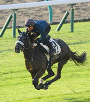 【スプリンターズS】ナムラクレア　主戦の浜中騎乗停止で横山武と初コンビ