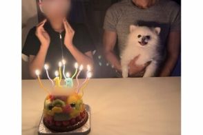 お姉ちゃんの誕生日ケーキを見た犬が…「勘違いしてそうな事」に19万いいね　「尊い」「いいのよ…」の声