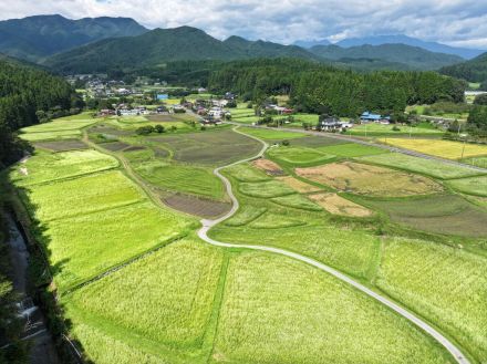 里山は秋色、ソバの花見ごろ　日光・長畑地区