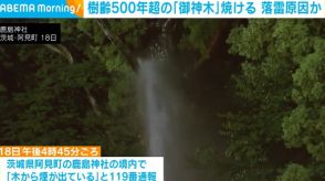 神社で樹齢500年超の「御神木」焼ける 落雷が原因か 茨城・阿見町