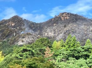 山口・秋穂二島の山火事…消火活動続き火の勢いは衰えたか　けが人などの情報なし