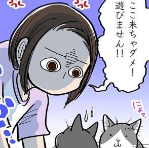 【猫の耳に念仏!?】「ここ来ちゃダメ！」とお説教するも…ある意味、想定内のオチに爆笑＆ほっこり【作者に聞いた】