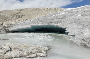 解けるペルーの氷河、影響はアルパカにも...枯渇する水源と地域の人々の現状とは