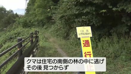 また住宅地でクマ出没警戒続く　親グマ1頭と子グマ2頭目撃　小学校は登校時保護者による送迎や職員による見守りなど安全対策　岩手・滝沢市