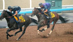 【オールカマー】レーベンスティールは馬なりで楽々と好時計　田中博調教師「いい動き確認できた」