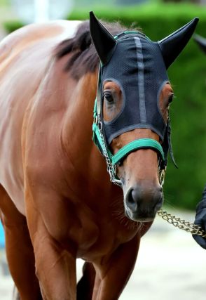 【注目馬動向】大阪杯覇者ベラジオオペラは横山和生騎手とのコンビで天皇賞・秋へ