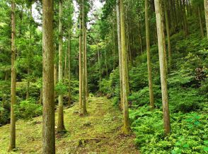 文化遺産の史跡が公園としてオープン歴史探訪も森林浴も楽しめる憩いの場所