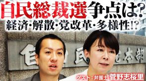 候補者数も論点も多様な自民党総裁選！どこに注目する？