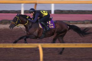 テーオーロイヤル横山武とのコンビで京都大賞典へ　主戦の菱田が落馬負傷のため