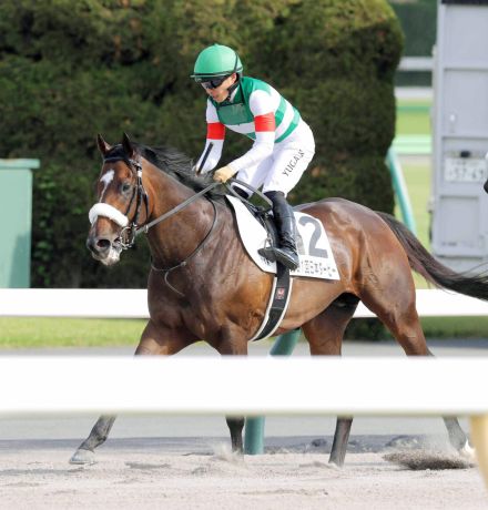 【注目馬動向】シックスペンスの鞍上はクリストフ・ルメール騎手に打診　毎日王冠で始動予定