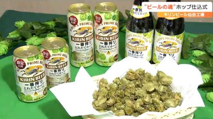 「ビールの魂を注入」岩手県産のホップを原料にしたビールの仕込み　仙台