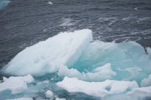 北極の珍味「海氷」　海の生物生産促す役割も