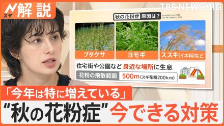 増えている秋の花粉症　原因は「猛暑とゲリラ豪雨」　今すぐできる対策は?【Nスタ解説】