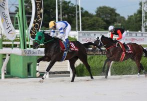 【園田競馬　兵庫ジュベナイルカップ】ラピドフィオーレ　本領のスパート決め重賞初制覇