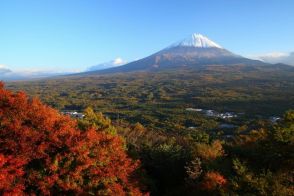 山梨県・青木ヶ原樹海を2台のドローンが夜間パトロール 人を感知し声掛け――背景に自殺死亡率全国ワースト