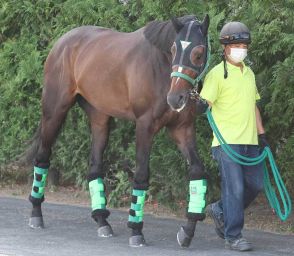 【今週の注目新馬】サトノシャイニングは３週連続ウッドで好時計！　杉山晴調教師「持っている力さえ出し切れれば」