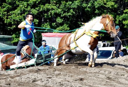 迫力満点！５０頭以上が走る「摩周湖ばん馬大会」…弟子屈町・あの街行く北海道