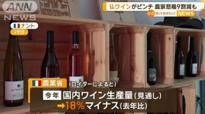 フランスのワインがピンチ　農家悲鳴　9割減も