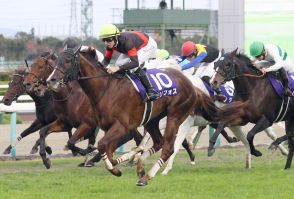 【注目馬動向】セリフォスは富士Ｓで始動　２２年の最優秀短距離馬