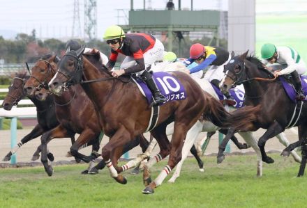 【注目馬動向】セリフォスは富士Ｓで始動　２２年の最優秀短距離馬