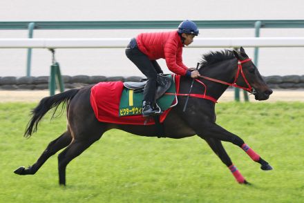 【スプリンターズＳ】競馬学校で調整中の香港馬２頭はゲート試験に合格　ムゲンは１５－１５を消化