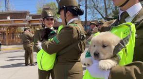 軍事パレードで警察犬も行進、抱っこされた子犬たちの姿も　南米チリ