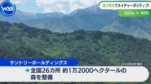 2030年には47兆円の経済効果　「ネイチャーポジティブ」って何!?【WBSクロス】