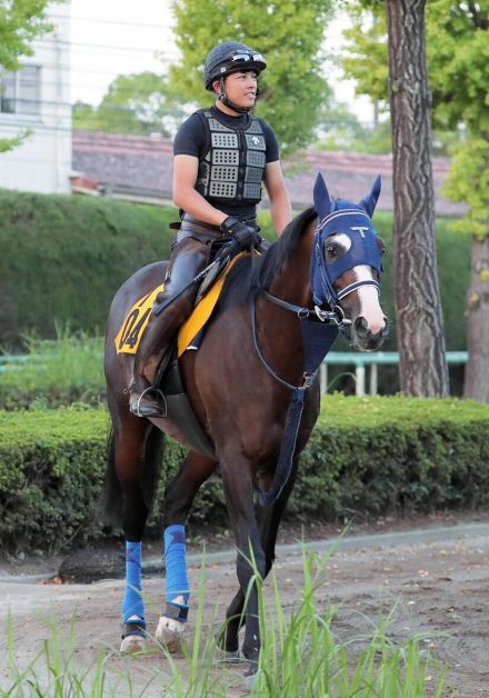 【オールカマー】アルビージャは２年２か月ぶりを叩かれ上昇ムード　手塚調教師「前回よりもいいと思う」