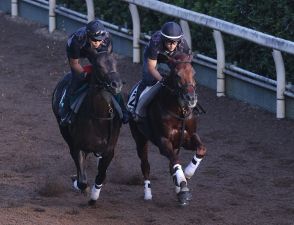 【産経賞オールカマー】追って一言