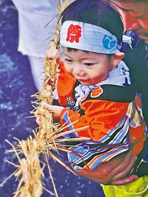 十五夜に願いを込めて　島唯一の綱引き、にぎやかに　喜界町小野津