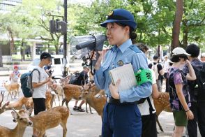 奈良のシカ、暴力動画拡散　県など「傷つけないで」　周知に力、DJポリスも