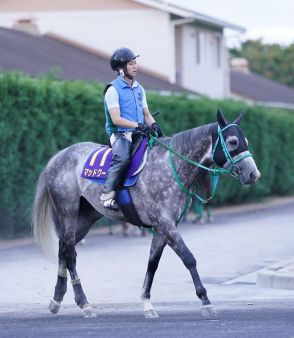 【スプリンターズS】1週前追い　マッドクールは一杯に追われシャープな伸び披露　坂井瑠星騎手「これでもう1段良くなってくると思います」