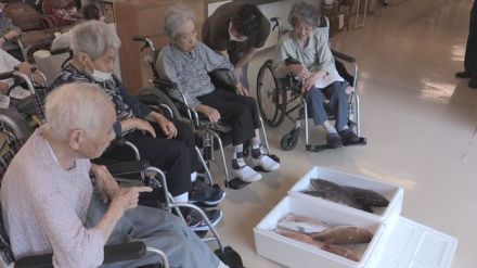 煮つけや鯛めしに 介護施設へ若狭湾のマダイと高級魚マハタを贈る