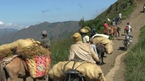 ギャング避け険しい山道を往来する住民たち ハイチ