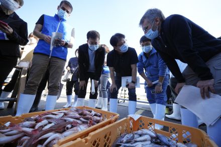 中国、日本産海産物輸入を「段階的に再開」へ