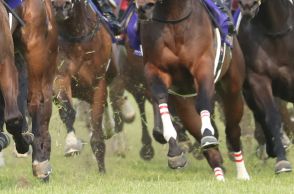 天皇賞・秋に海外馬が登録