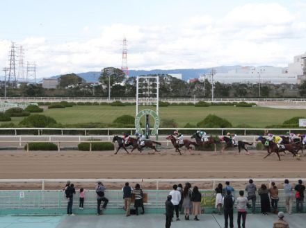 【園田・園田チャレンジC結果】7番人気のイモータルスモークが差し切って重賞初制覇