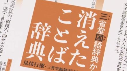 “消えた言葉”「テレカ」「スッチー」「派手婚」当たり前だったけどもう伝わらない? 東海地方のみなさん「でらむっ」「チェリーする」の意味わかりますか?