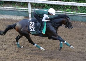 【神戸新聞杯】ハナ差2着「評価落とす必要ない」 今回も菊花賞でも買えそうな1頭