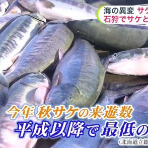 【石狩名物のサケとれず…】「今年は少ない」石狩の直売所は閉まり 漁も2日に１回に…海水温が高すぎる影響か？先行き不透明…「石狩さけまつり」の催し 縮小の可能性も　北海道石狩市