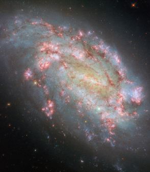 ハッブル宇宙望遠鏡が撮影　“レチクル座”の渦巻銀河「NGC 1559」