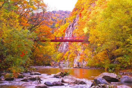 【2024年版】 今こそ行きたい！ 日本の秋の絶景 ～北海道・東北篇～