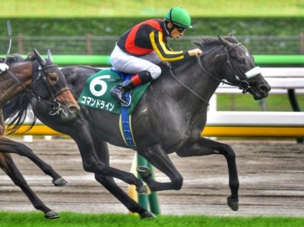 米G1勝ち馬を母に持つ1.2億円馬 武豊騎手の手綱でデビューV飾るか